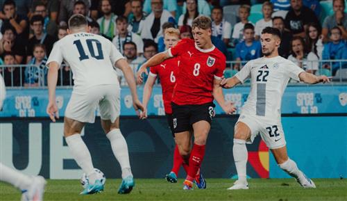 N1 Casino App: Ultimate Mobile Gaming Guide